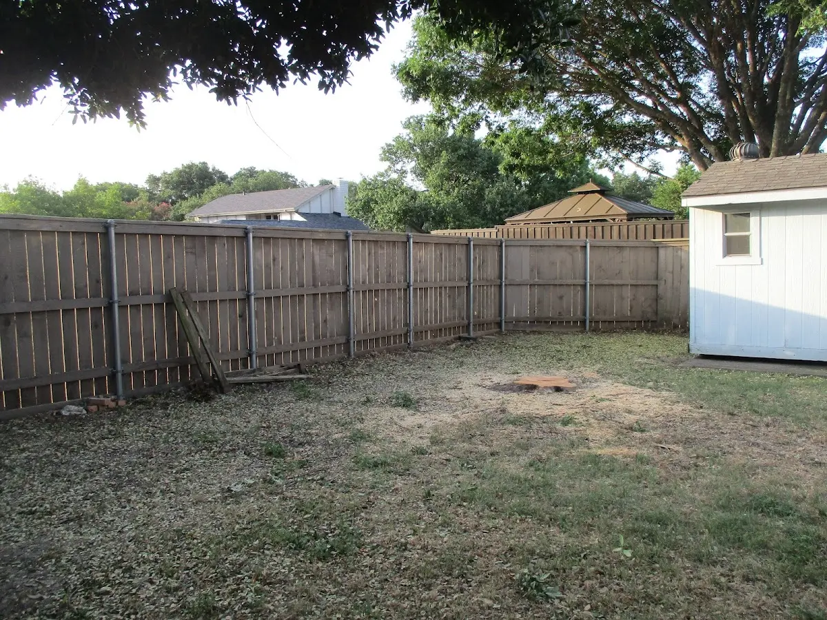 Cleared yard after professional tree removal in Wampum
