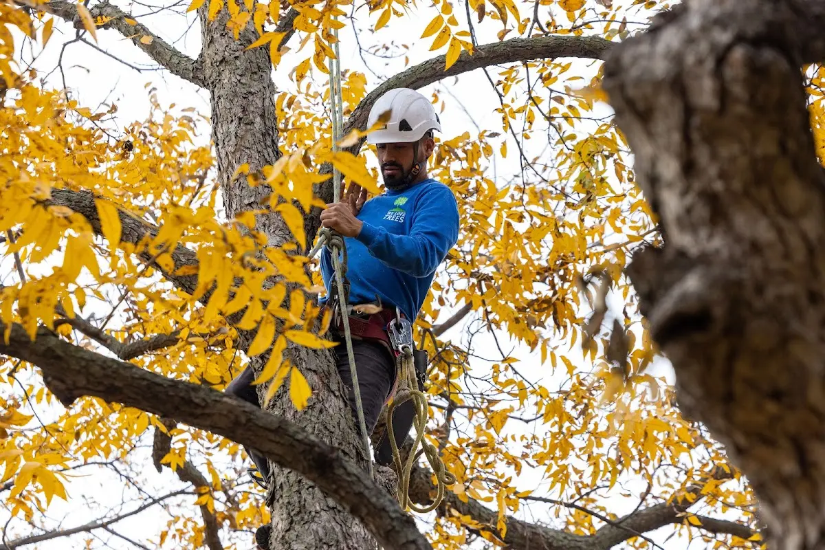 Skilled Storm Damage Cleanup crew working in Wampum